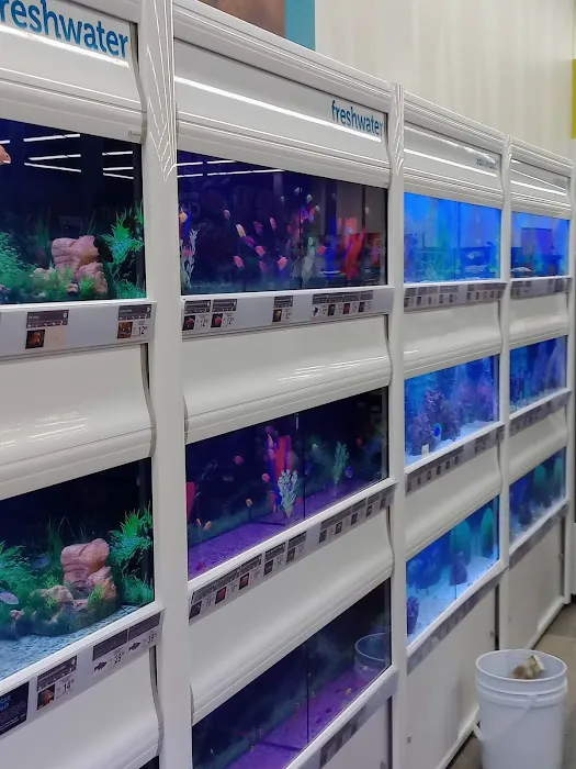 Petco Picture 6