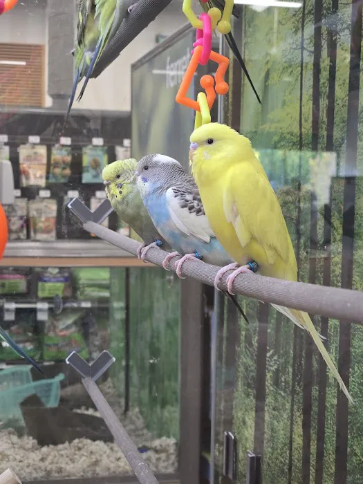 Petco Picture 10