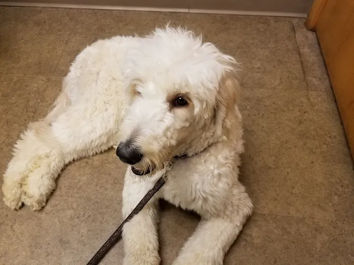 Banfield Pet Hospital Picture 2