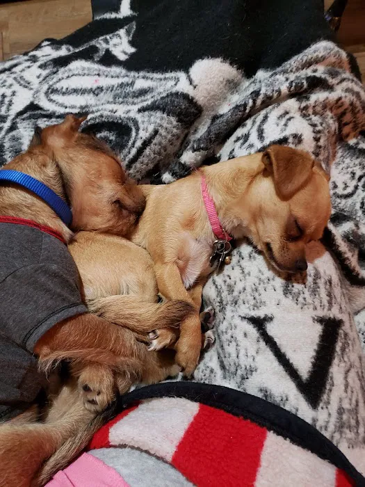 Petco Picture 3