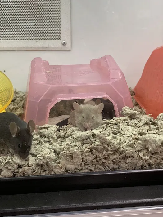 Petco Picture 6