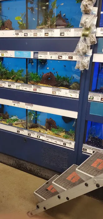 Petco Picture 4