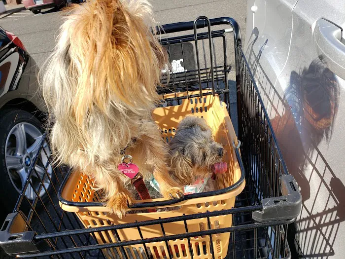 Petco Picture 9