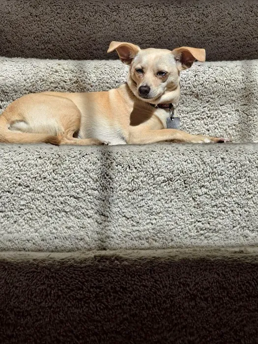 Petco Picture 5
