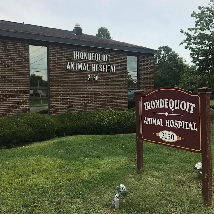 Irondequoit Animal Hospital Picture 8