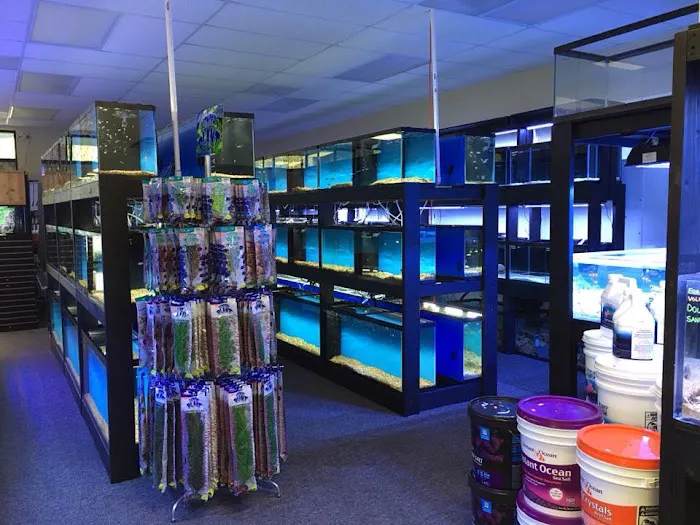 All Things Aquariums Picture 3