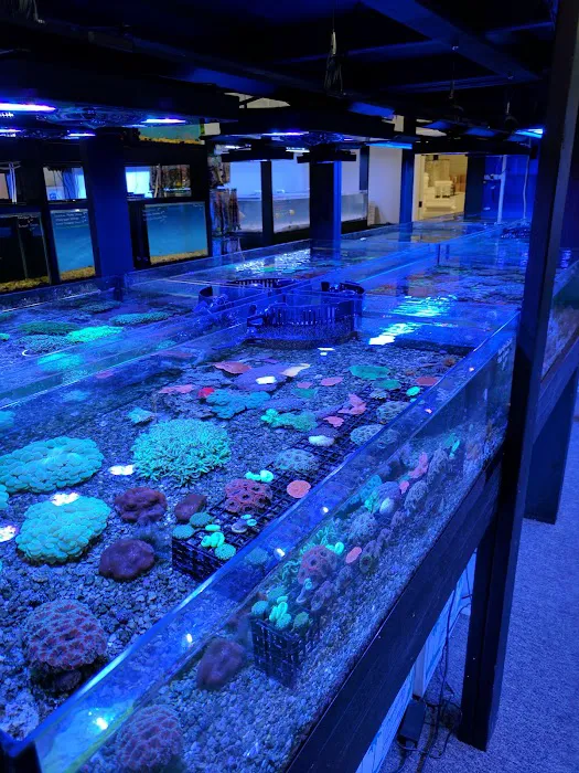 All Things Aquariums Picture 9