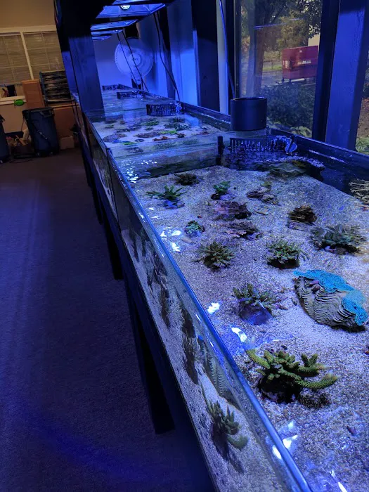 All Things Aquariums Picture 4
