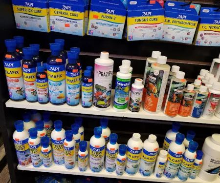 All Things Aquariums