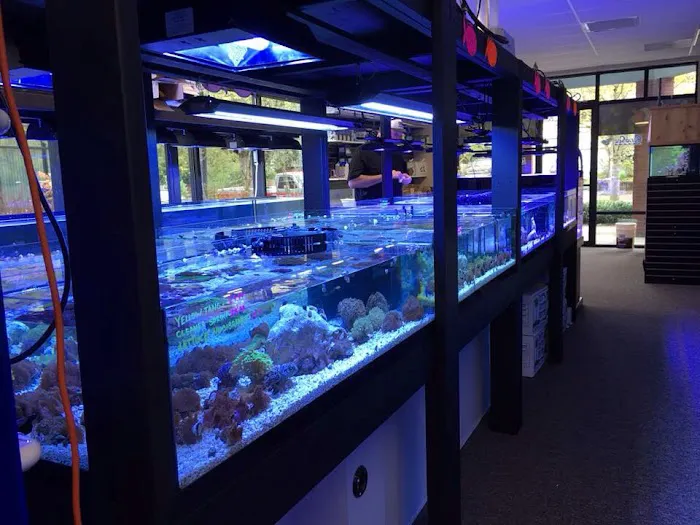 All Things Aquariums Picture 5