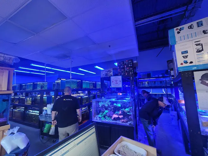 All Things Aquariums Picture 8