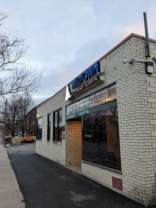 Midtown Veterinary Hospital Picture 7
