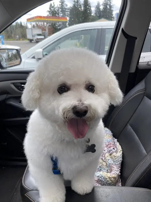 Furry Friends Picture 5
