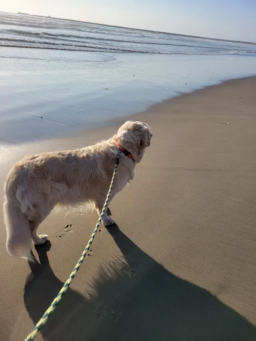 Furry Friends Picture 4