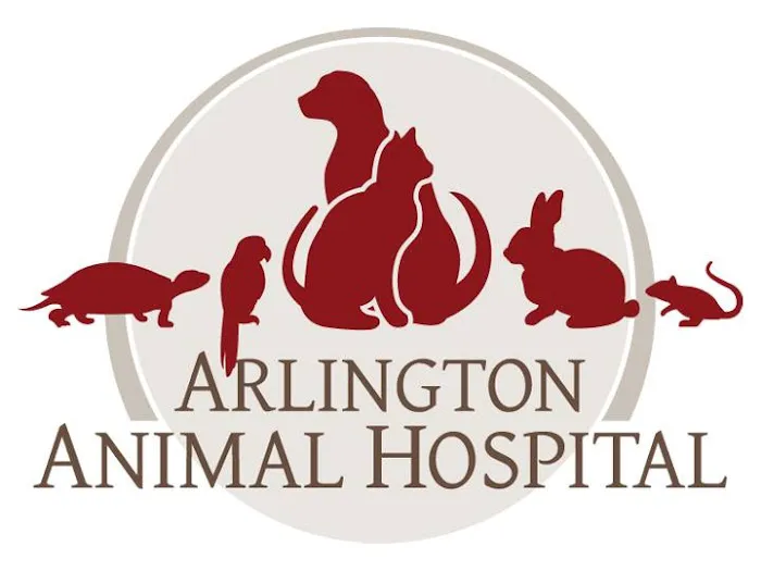 Arlington Animal Hospital Picture 7