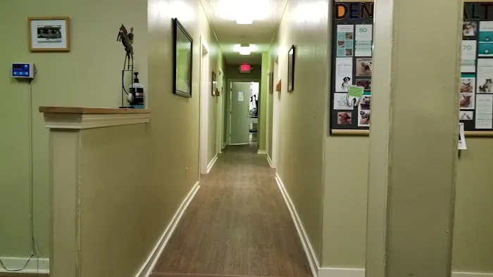 Arlington Animal Hospital Picture 1