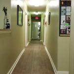 Arlington Animal Hospital