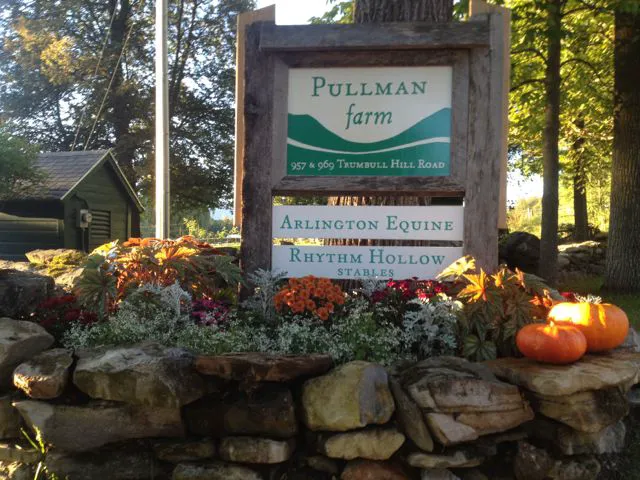 Arlington Equine Picture 2
