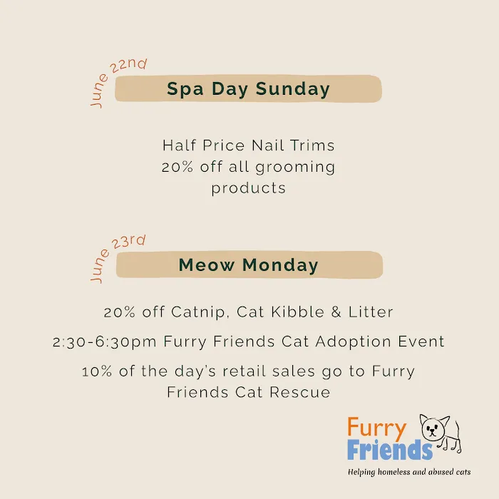 Pine + Paw Picture 1