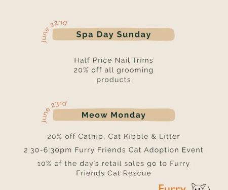 Pine + Paw