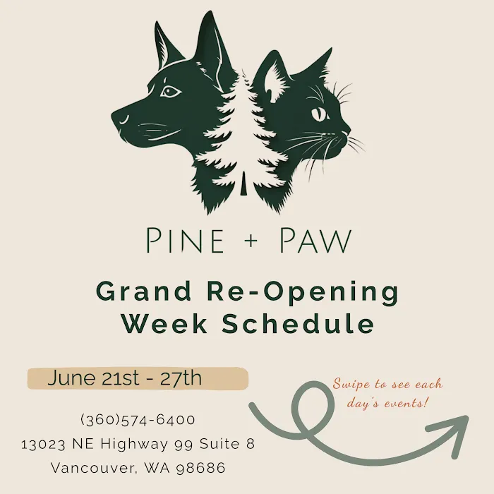 Pine + Paw Picture 5