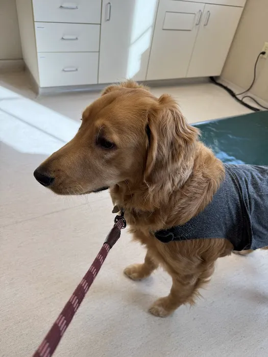 West Mountain Animal Hospital Picture 5