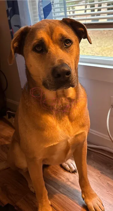 West Mountain Animal Hospital Picture 2