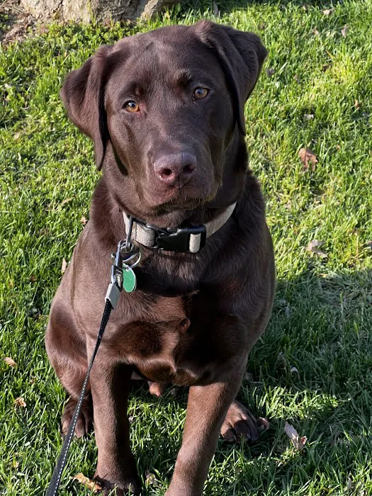 West Mountain Animal Hospital Picture 7