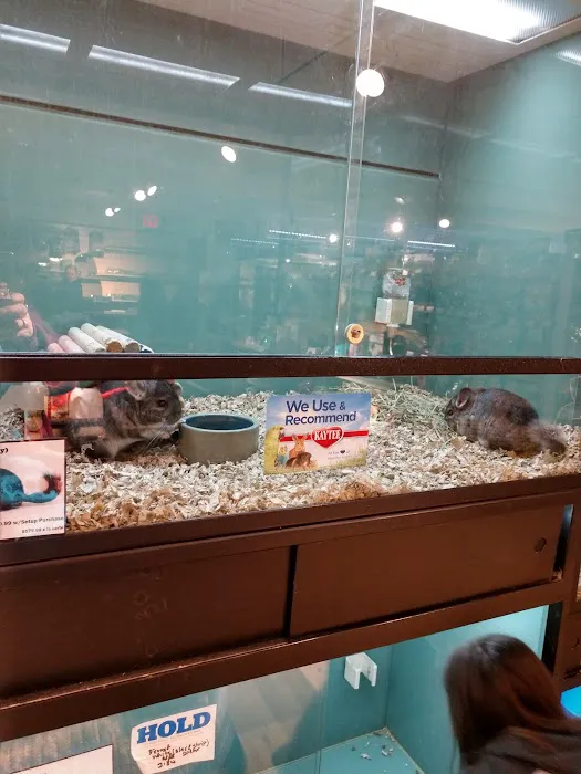 Critter Cabana Picture 1