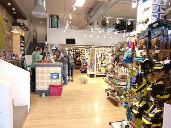 Critter Cabana Picture 8