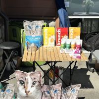 Dolly’s Pet Shoppe ico
