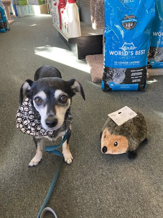 Dolly’s Pet Shoppe Picture 5
