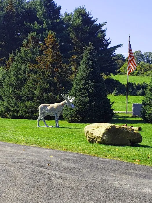 Mount Anthony Veterinary Hospital Picture 9