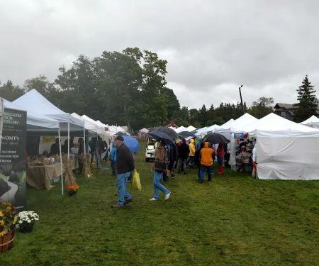 Mount Anthony Veterinary Hospital