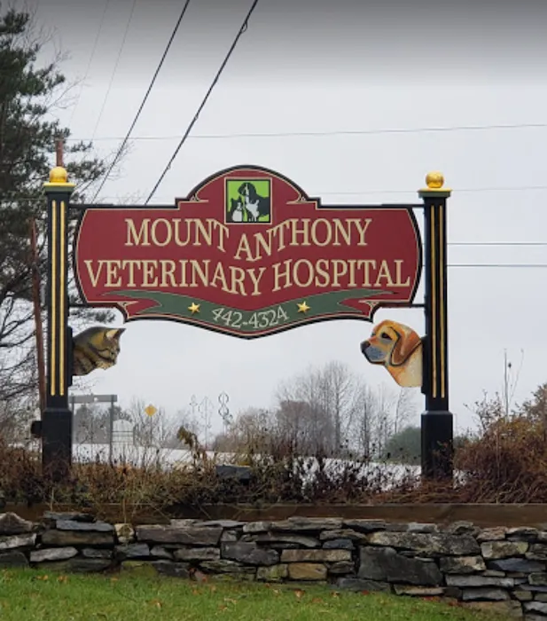 Mount Anthony Veterinary Hospital Picture 10