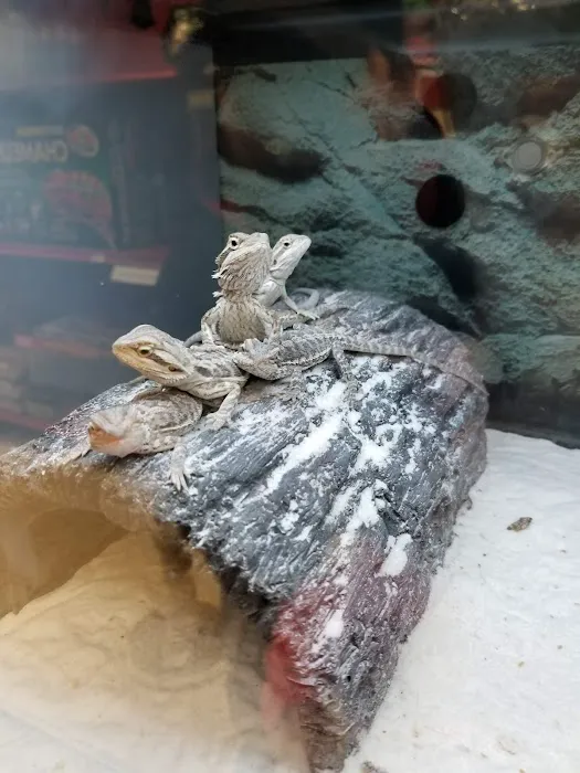 Petco Picture 6