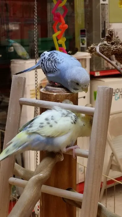 Petco Picture 8