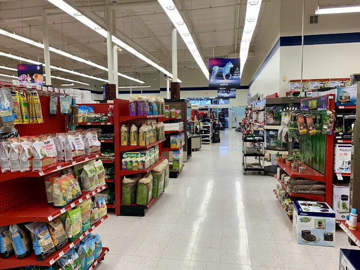 Petco Picture 10