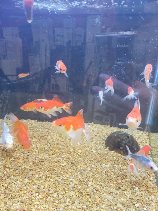 Petco Picture 9