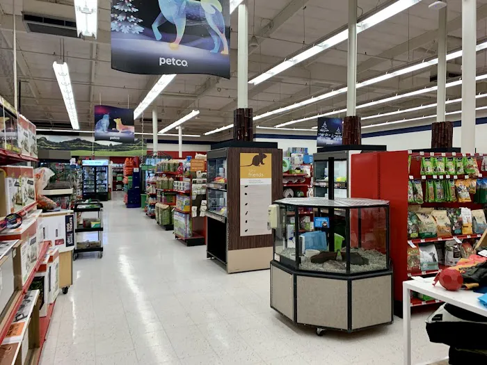 Petco Picture 7