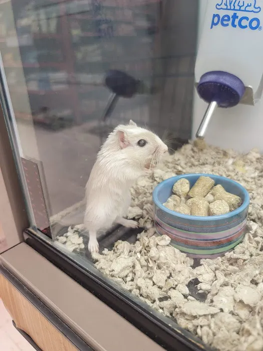 Petco Picture 1