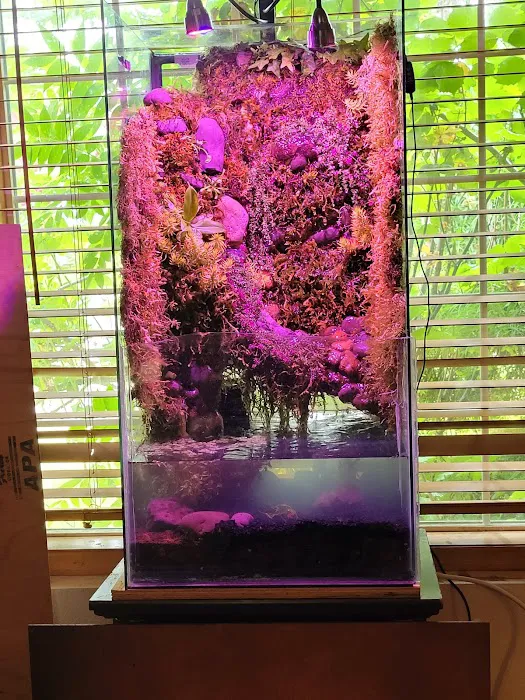 Man O War Aquatics Picture 7