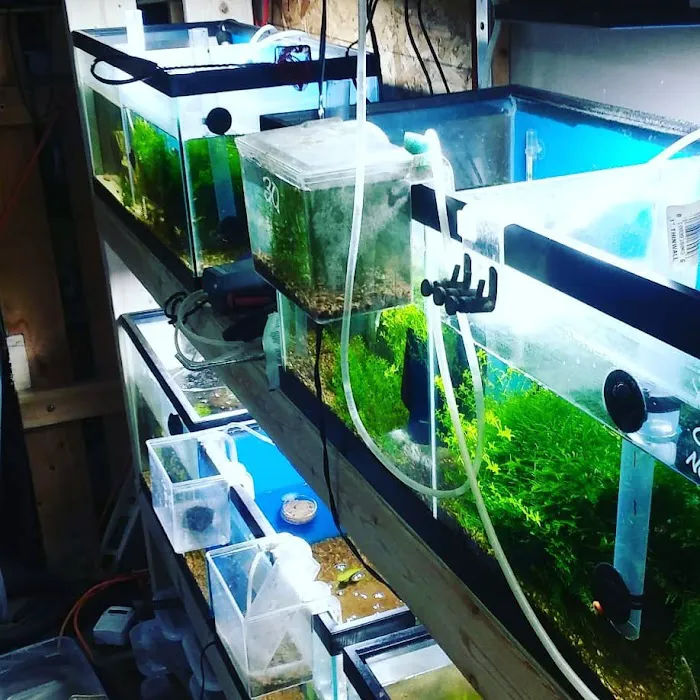 Man O War Aquatics Picture 3