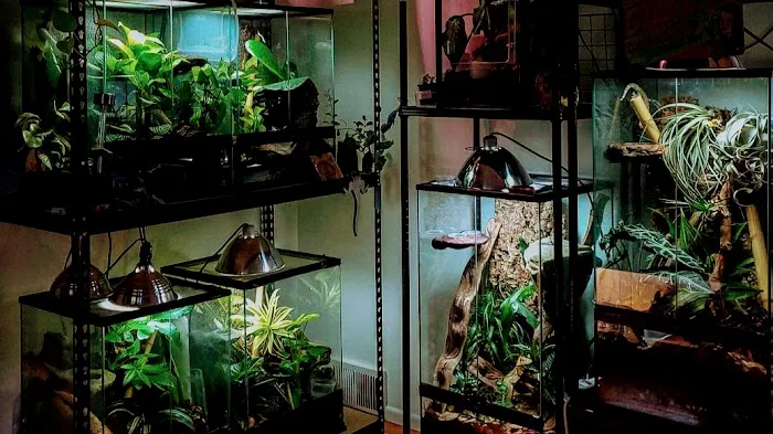 Man O War Aquatics Picture 1