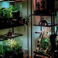 Man O War Aquatics ico