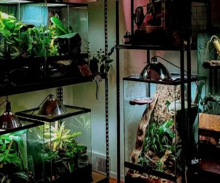 Man O War Aquatics