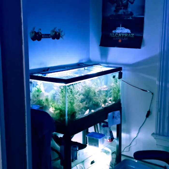 Man O War Aquatics Picture 4