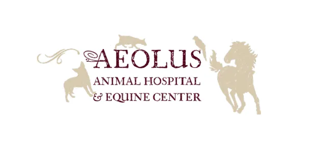 Aeolus Animal Hospital & Equine Picture 5