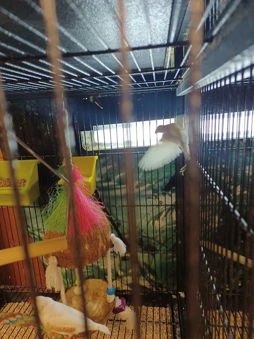 The Pet Works Picture 3