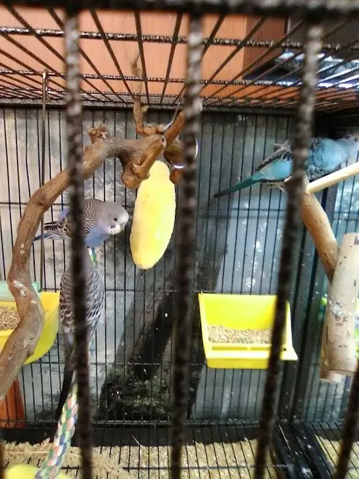 The Pet Works Picture 6